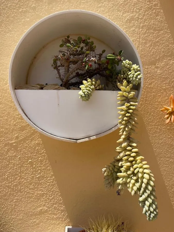 Eco House Golfinhos Apartment Corralejo