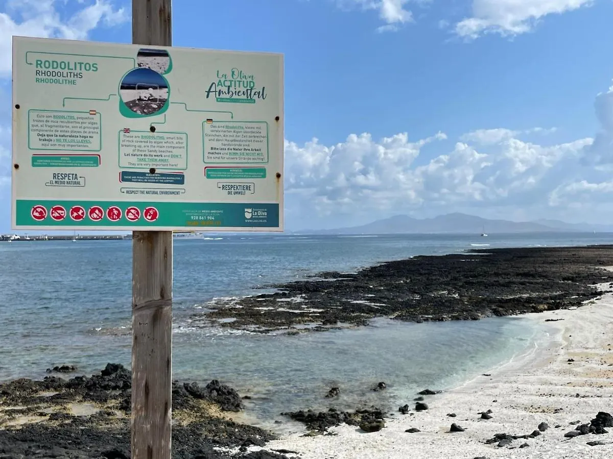 Eco House Golfinhos Lejlighed Corralejo
